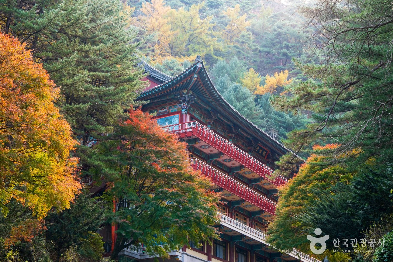 구인사(단양) 이미지 4