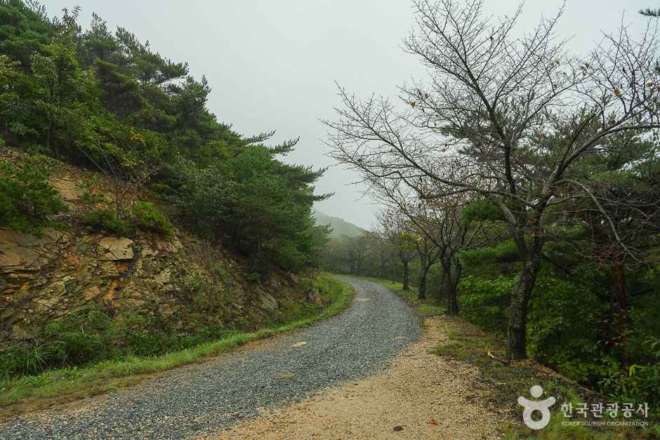 삼길 나루길 이미지 5
