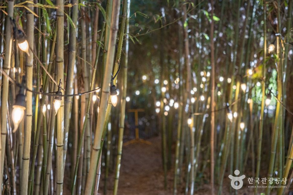 제주 김녕미로공원 이미지 3