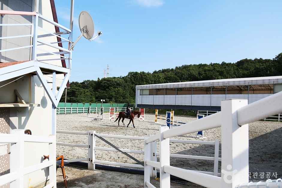 부산기장승마장 이미지 3