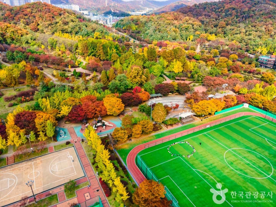 원적산공원 은행나무숲 이미지 7