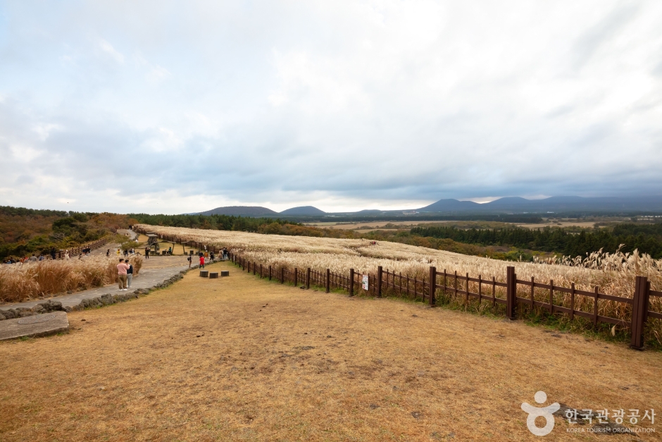 산굼부리 이미지 8