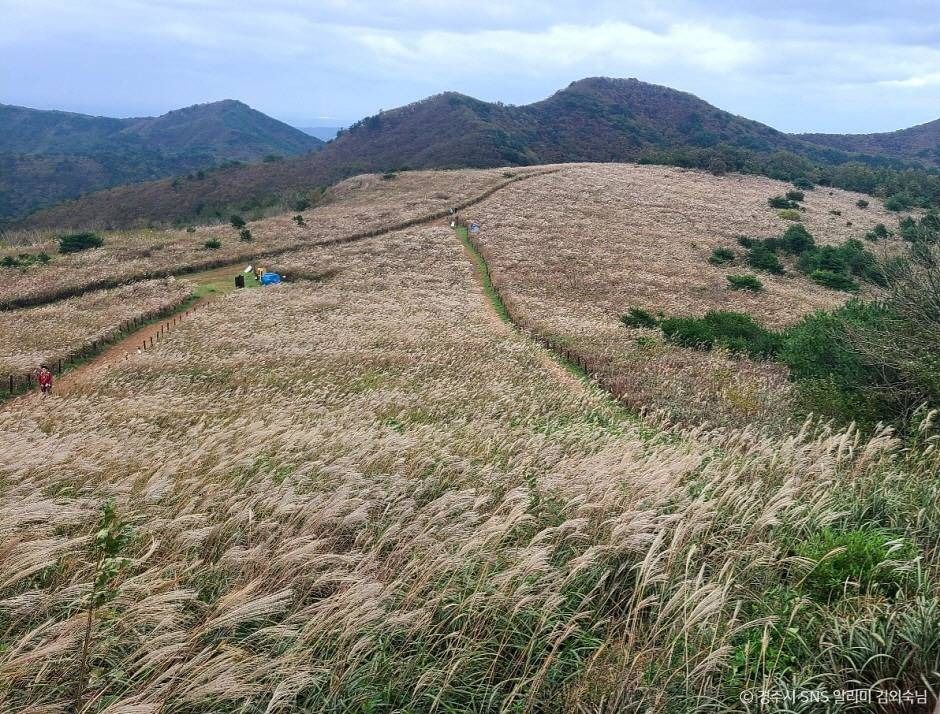 경주 무장산 이미지 1