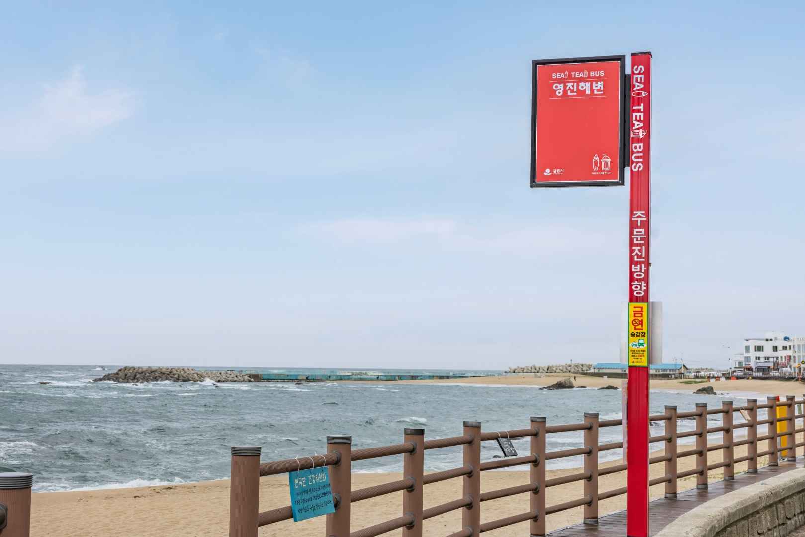 영진해변 이미지 7