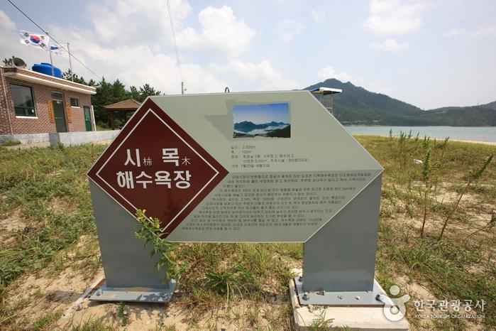 도초 시목해수욕장 이미지 4