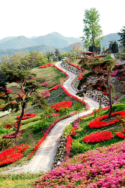 숲쟁이꽃동산 이미지 4