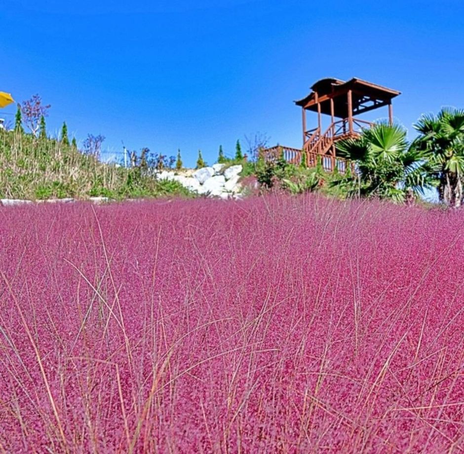 호린파크 이미지 1