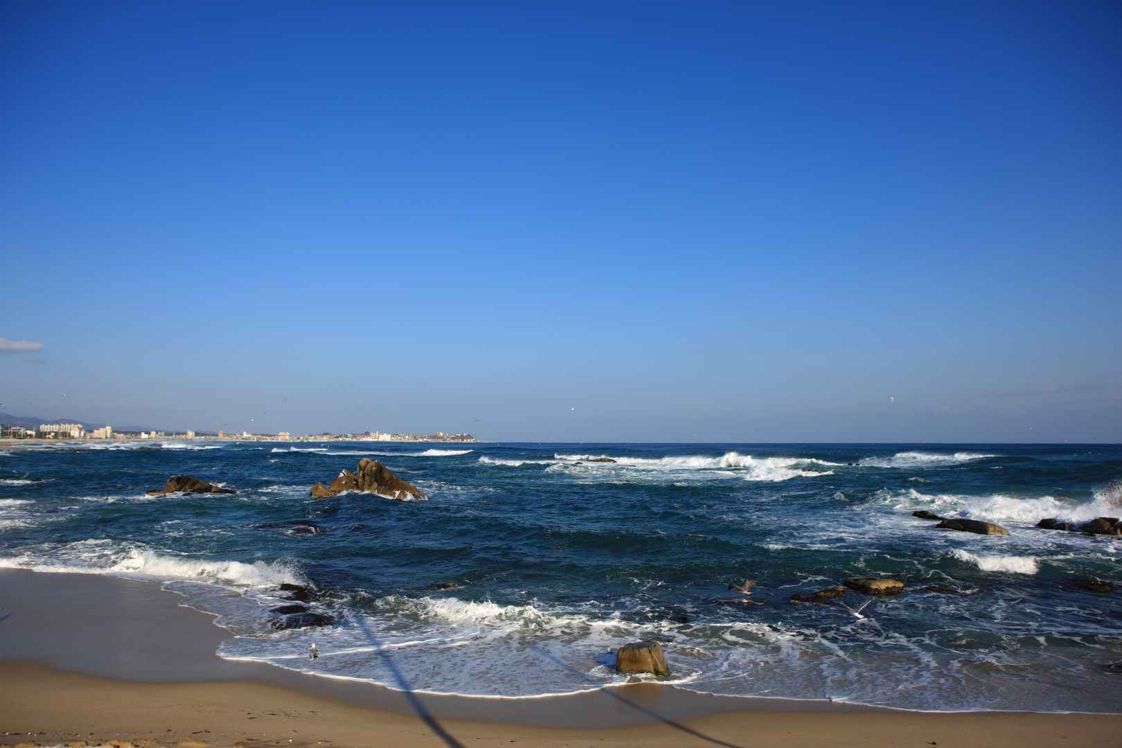 영진해변 이미지 2