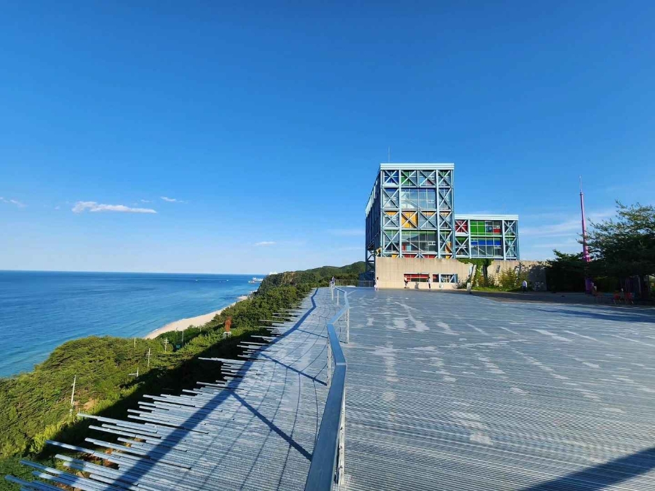 하슬라아트월드 이미지 5