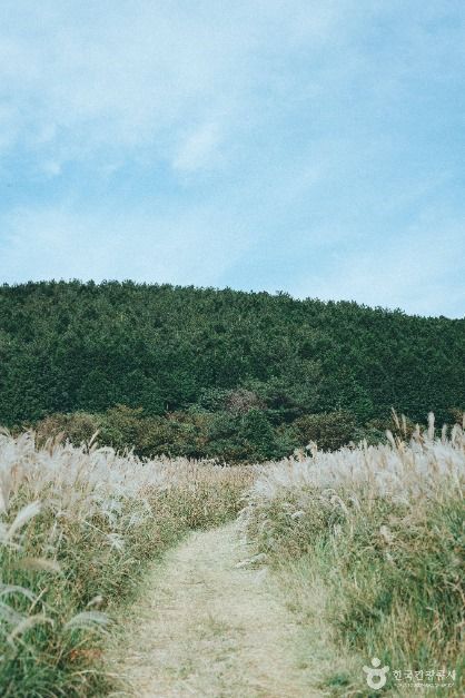 대록산(큰사슴이오름) 이미지 5