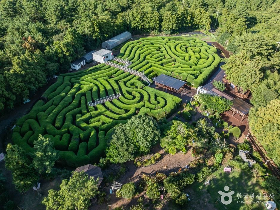 제주 김녕미로공원 이미지 1