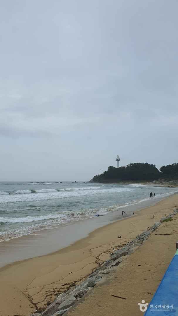 대진1리해변 이미지 5