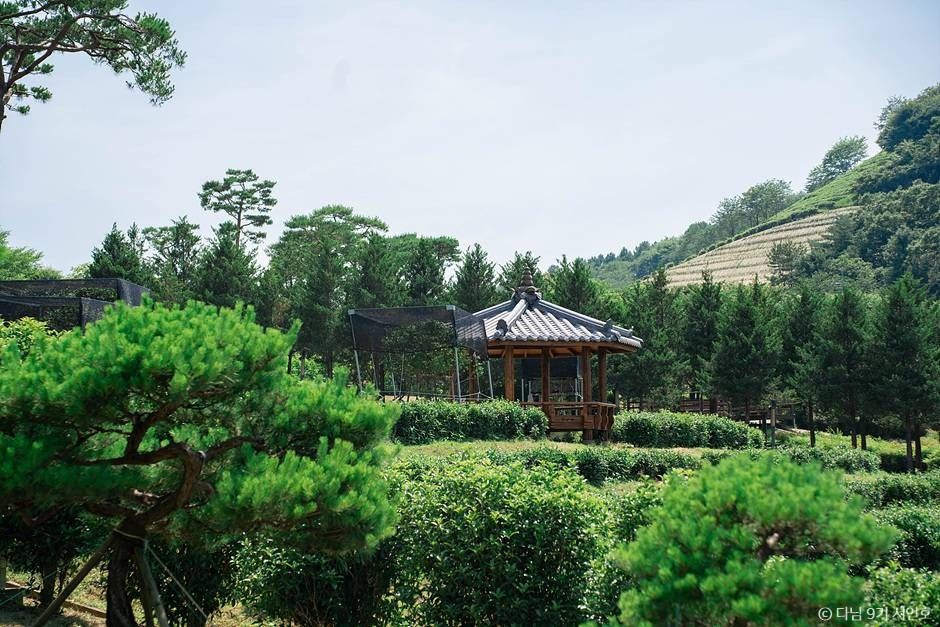 보성 봇재 이미지 4