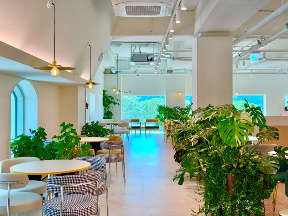 가평베고니아새정원 이미지 7