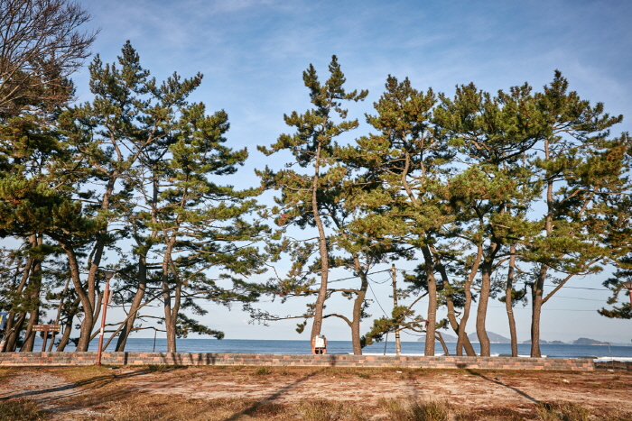 변산해수욕장 이미지 5