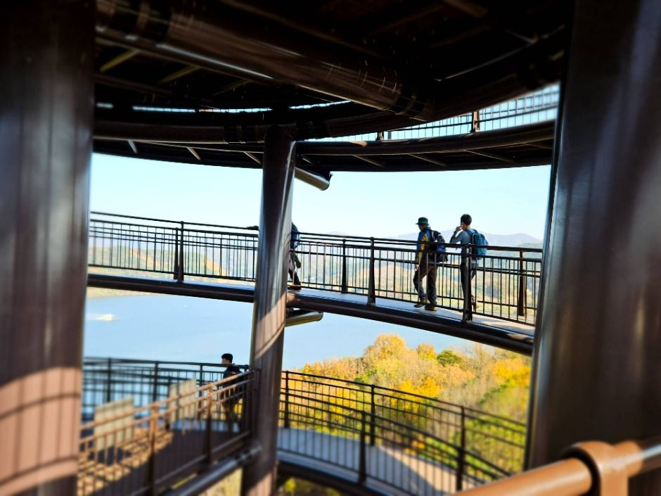 금광호수 이미지 9