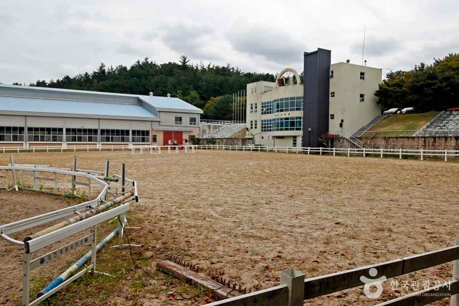 복용승마장 이미지 7