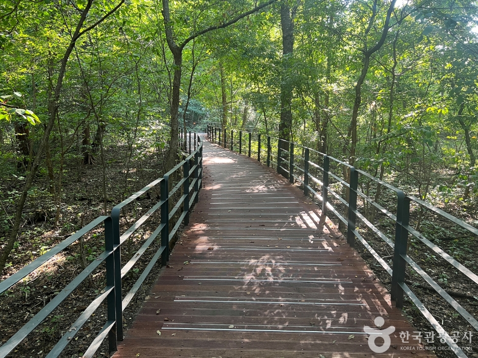 국립수목원 산림박물관 이미지 7