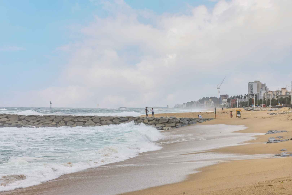 영진해변 이미지 3