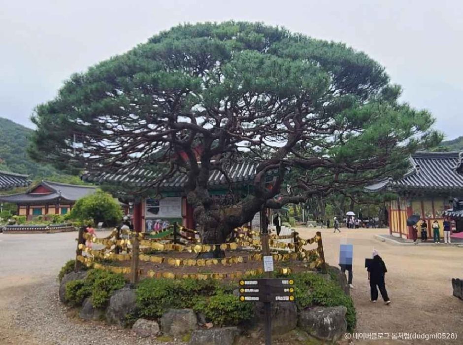 보경사 이미지 5