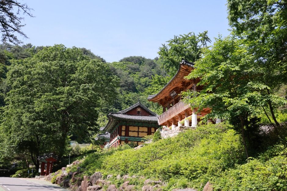 대원사계곡길 이미지 3