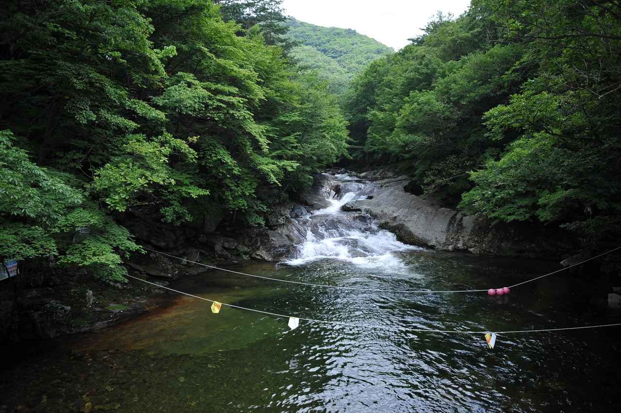 구천동계곡 이미지 7