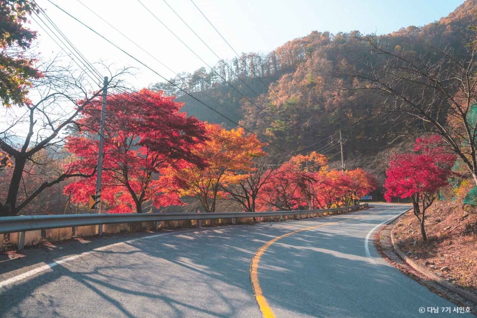 단양 보발재 이미지 4