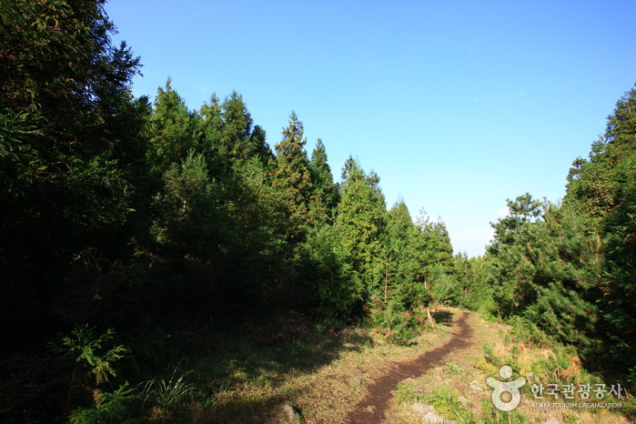 거문오름 [세계자연유산] 이미지 3
