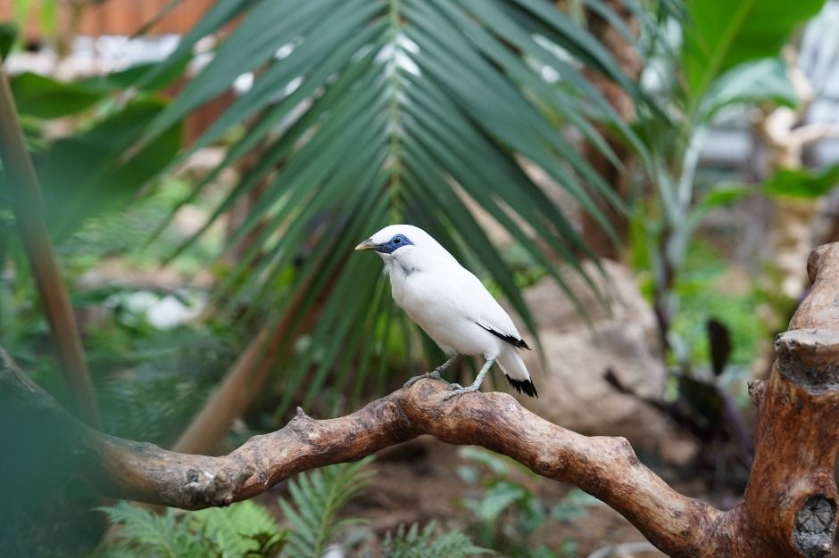 가평베고니아새정원 이미지 9
