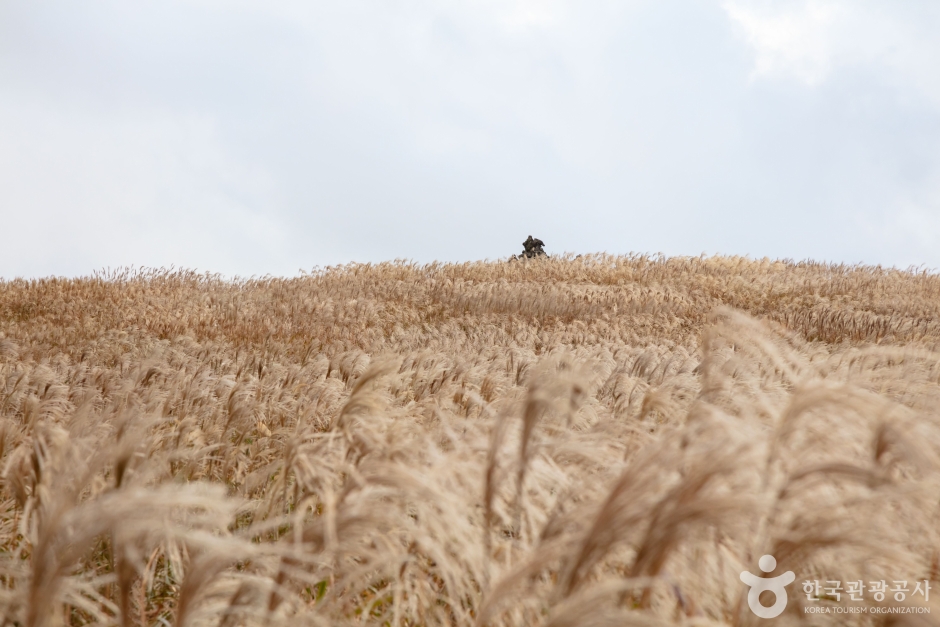 산굼부리 이미지 4