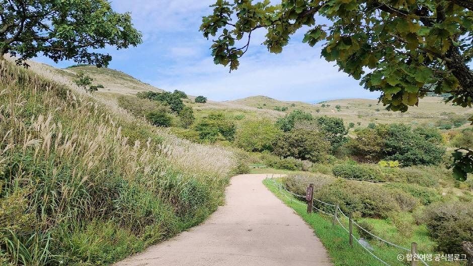 황매산 억새군락지 이미지 2