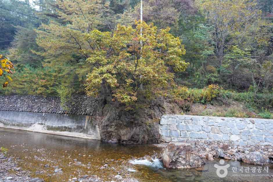 고선계곡(구마계곡) 이미지 2