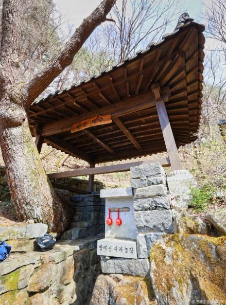 인제 방동약수 이미지 4