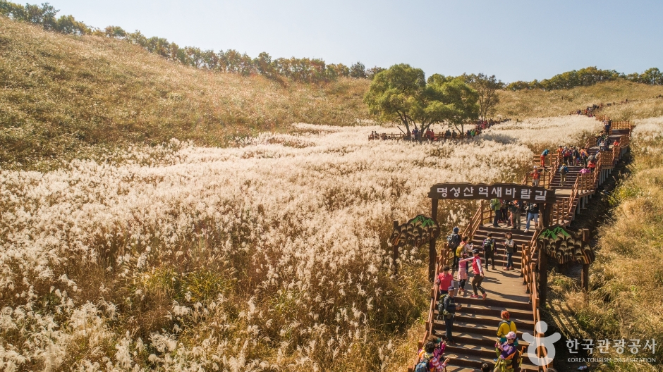 명성산 억새밭 이미지 7