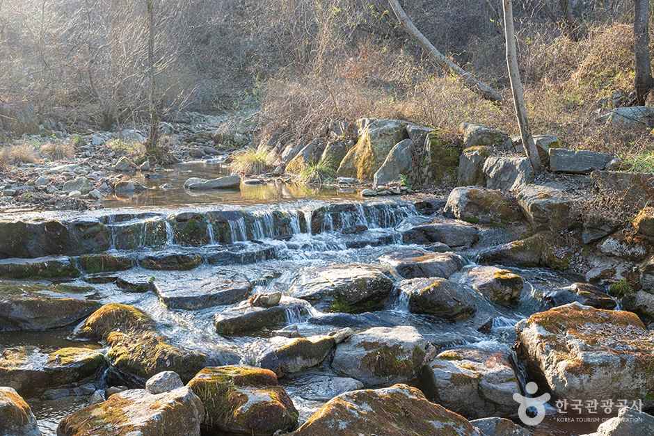 유명계곡 이미지 1