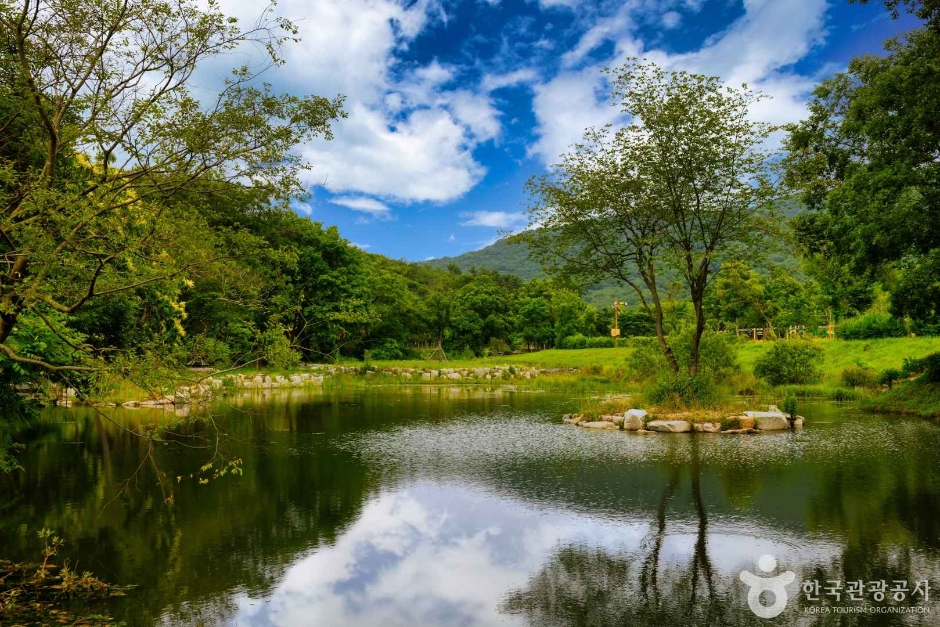 고창 운곡람사르습지 이미지 1