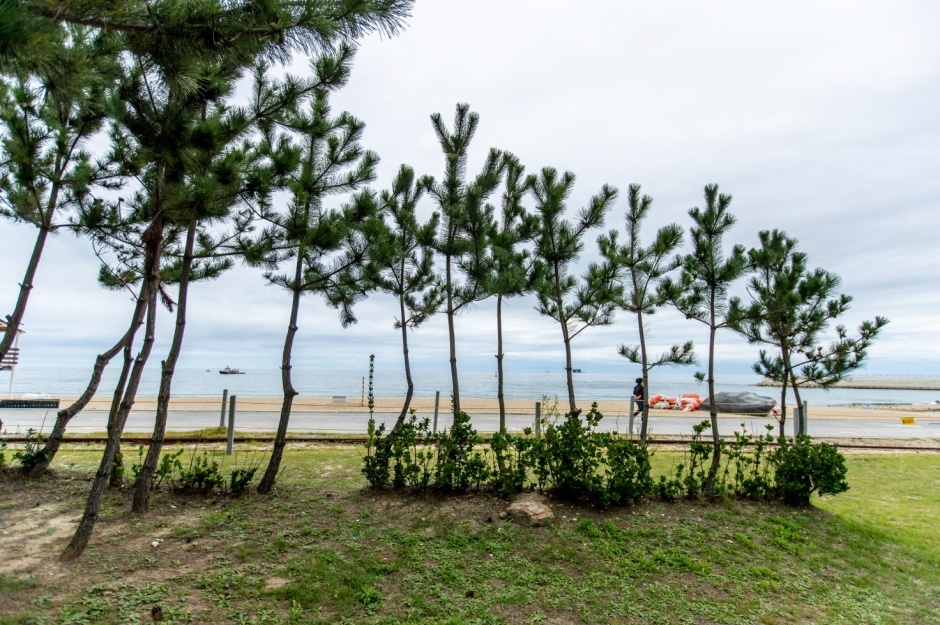 모래시계공원 이미지 7