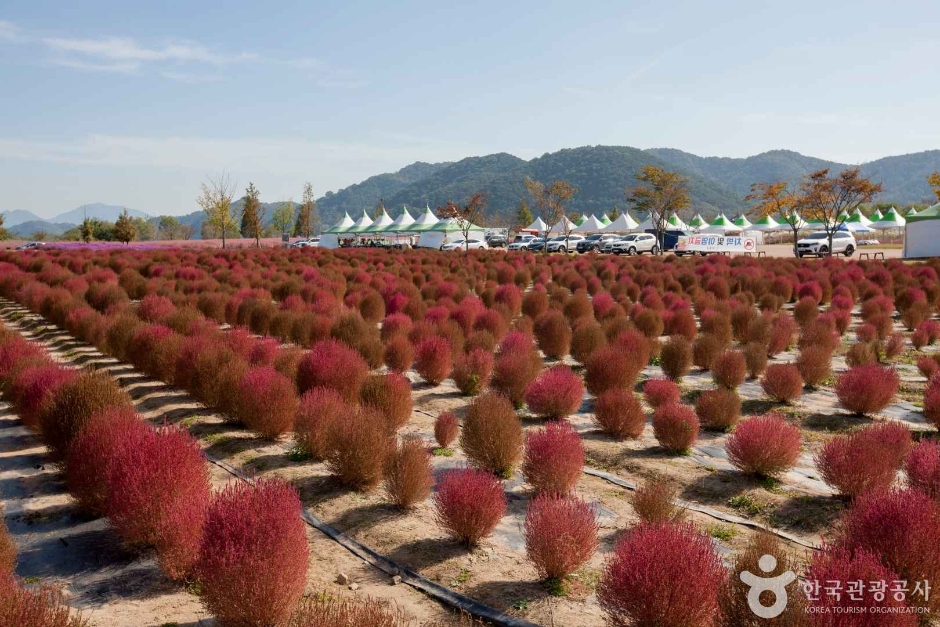 호국의병의숲 친수공원 이미지 4