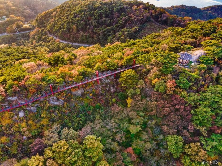 부아산 구름다리 이미지 2