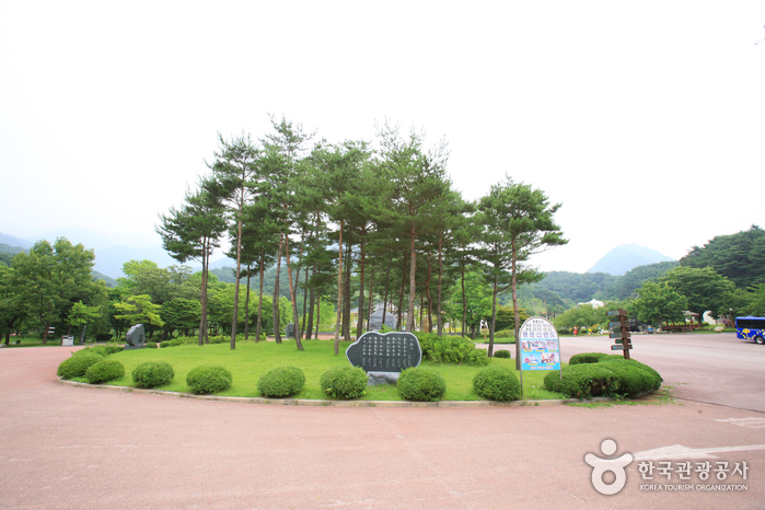 용문산 관광단지 이미지 1