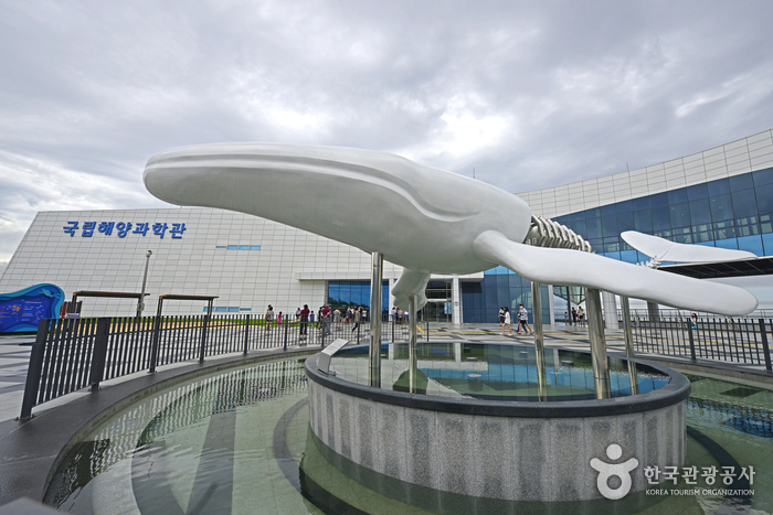 울진 국립해양과학관 이미지 1