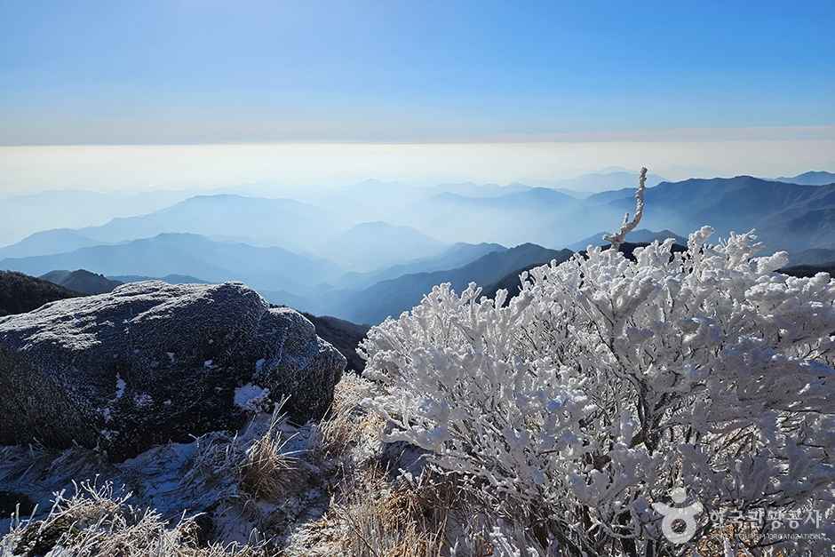 지리산 천왕봉 이미지 4