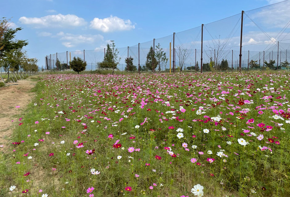 대산플라워랜드 이미지 3