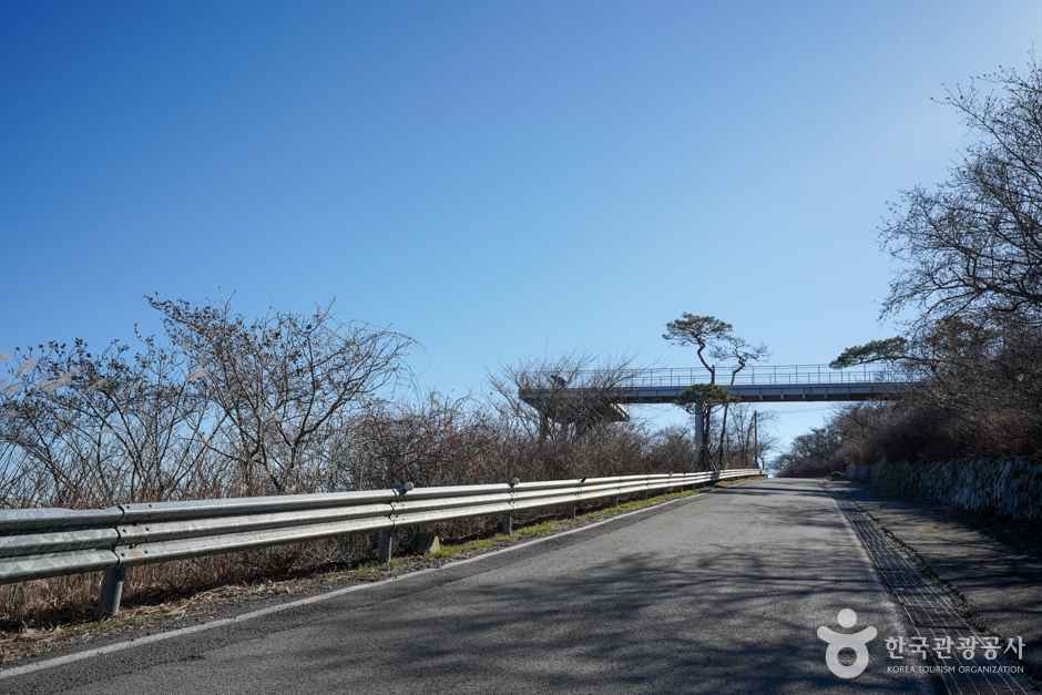 금오산전망대 이미지 7