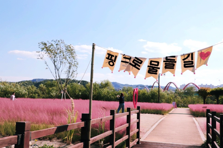 그라스원 이미지 5