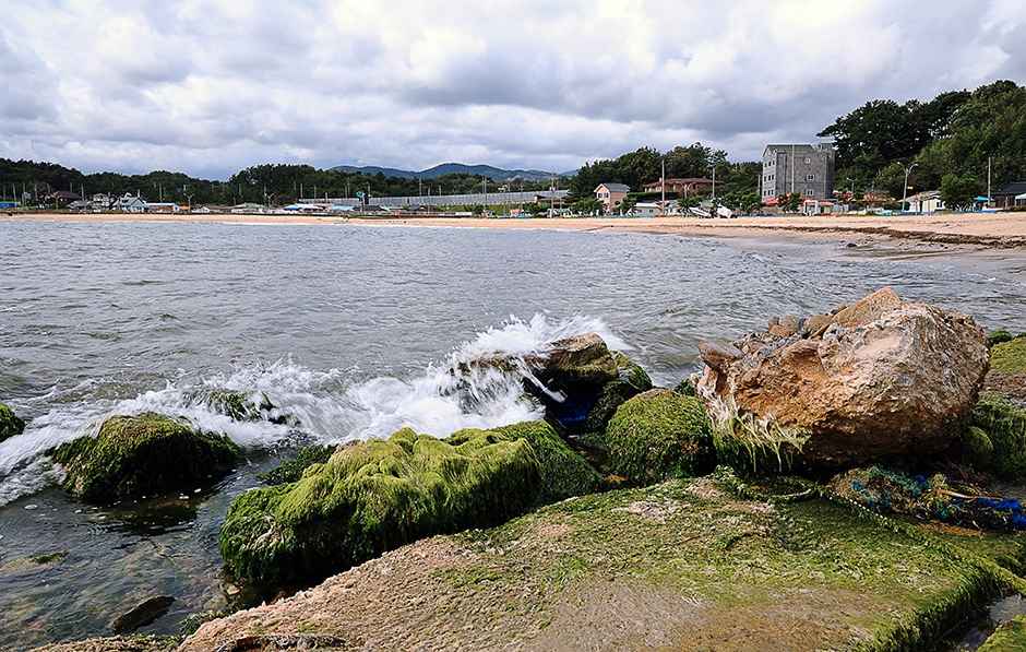 남애1리해수욕장 이미지 5
