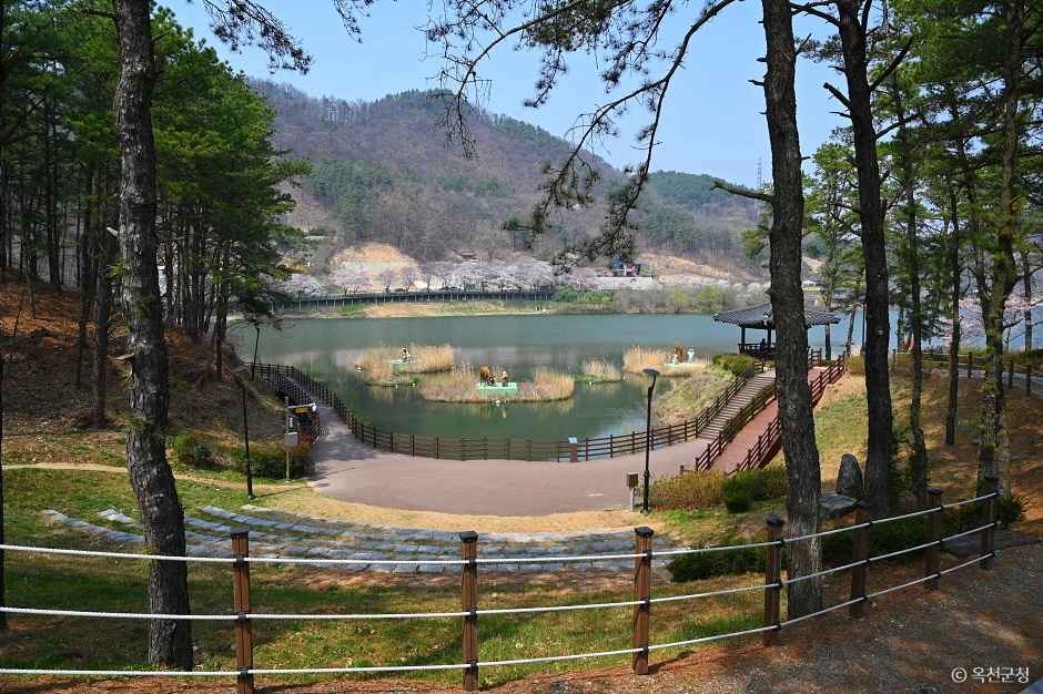 옥천 교동저수지 이미지 1