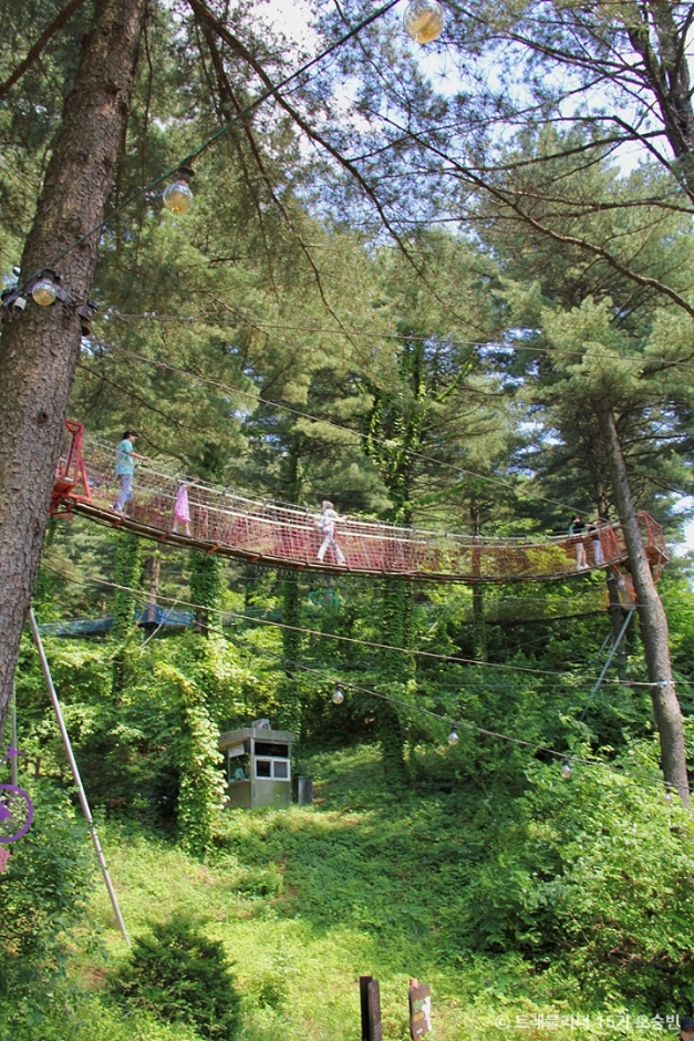 포천 어메이징파크 이미지 4
