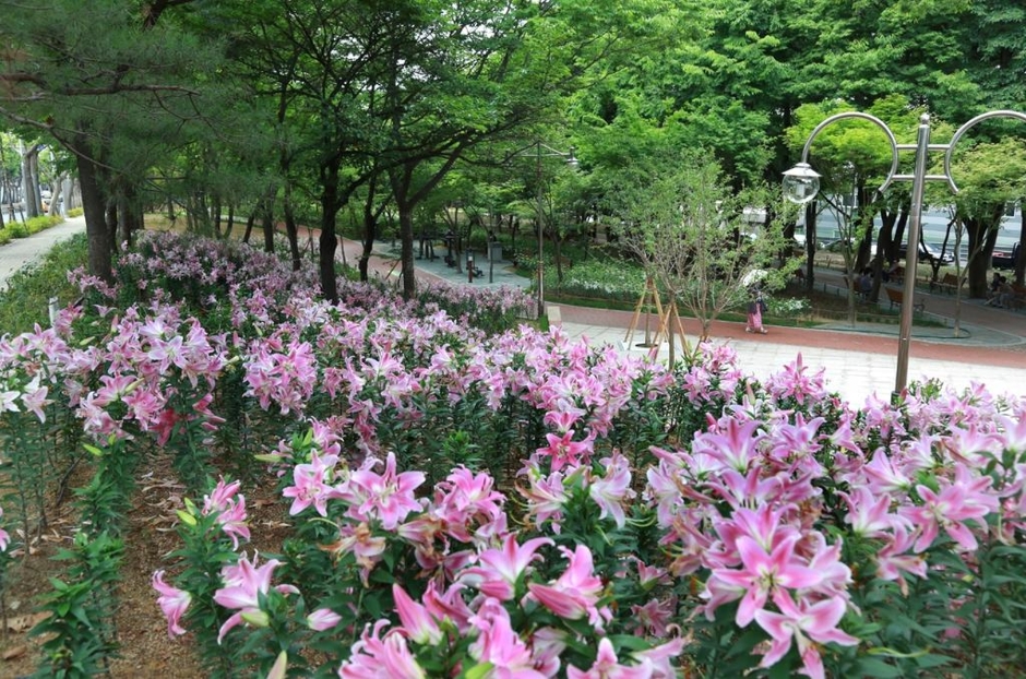 서구 그린웨이 상록수원 이미지 2