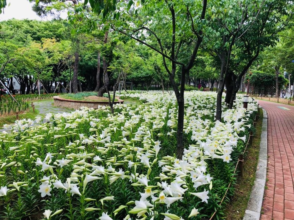 서구 그린웨이 상록수원 이미지 6